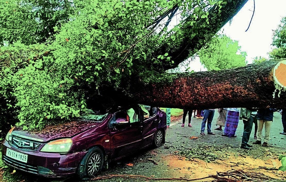 ಮಳೆಗೆ ರಸ್ತೆಗೆ ಬಿದ್ದ ಮರ, ಕಾರು ಜಖಂ; ಮನೆಗೂ ಹಾನಿ