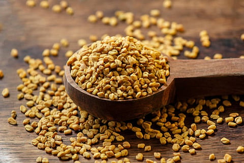 Benefits of Fenugreek : मेथी महिलांसाठी वरदान; 'या' समस्यांवर रामबाण उपाय