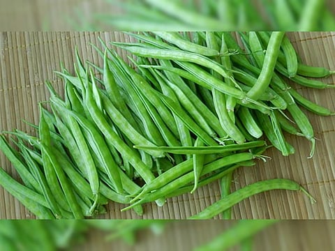 Cluster Beans : अहो! गवार काय म्हणता. 'ती' तर खूपच फायदेशीर