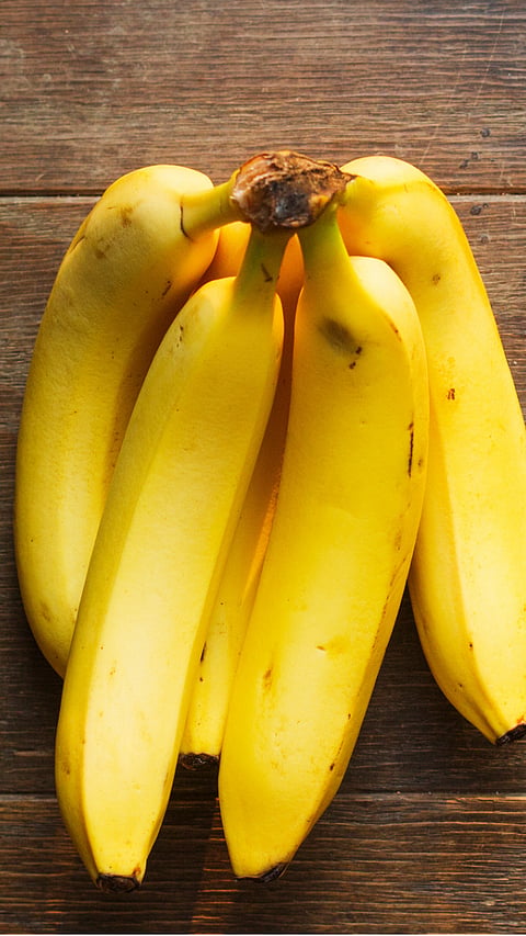 Best stamina food : रोगप्रतिकार शक्ती वाढवायचीय?, तर खा 'हे' १२ पदार्थ