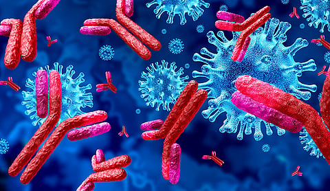 Antibody and Immunoglobulin concept as antibodies attacking contagious virus cells and pathogens as a 3D illustration.
