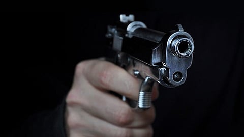 Satara Gun Case |
