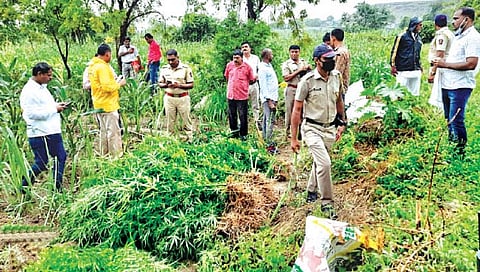 Yavatmal News