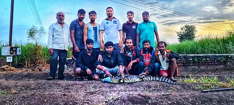 दानोळीत नदीतील सहा फुटी मगर आढळली विहिरीत