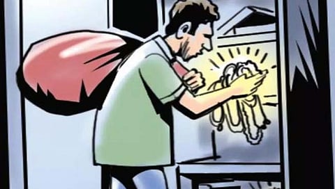 आजोबांनी धाडस केलं आणि चोरांचा डाव फसला !