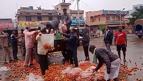 जत (जि. सांगली) : टोमॅटोला दर न मिळाल्याने जत येथील महामार्गावर टोमॅटो ओतून देताना भाजीपाला उत्पादक शेतकरी काडाप्पा बिराजदार. 