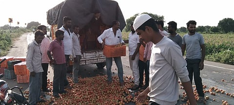 टोमॅटो मातीमोल : शेतकऱ्याने साडेतीनशे कॅरेट टोमॅटो फेकला रस्‍त्‍यावर