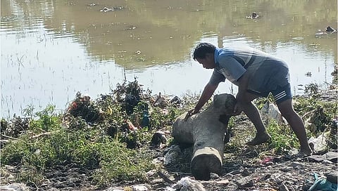जळगाव महापूर :  ३८ गावे बाधित, पावसाने घेतली उसंत