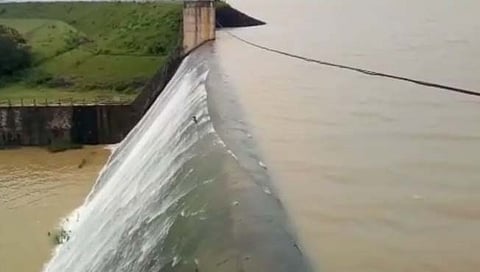 नाशिक : दिंडोरी तालुक्यातील वाघाड धरण १०० टक्के भरले
