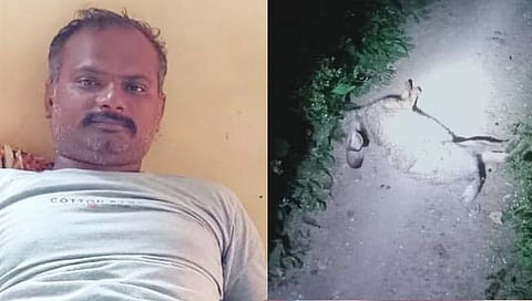 बिबट्याच्‍या धडकेत जखमी झालेले दुचाकस्‍वार नितीन म्हस्के, दुसर्‍या छायाचित्रात बिबट्याच्‍या हल्‍ल्‍यात ठार झालेला ससा. 
( छाया : किशोर खुडे )