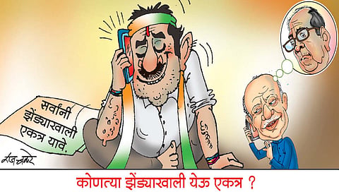 लवंगी मिरची : कोणत्या झेंड्याखाली येऊ एकत्र?