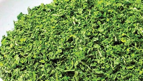 कसुरी मेथी मुळे रक्‍तातील साखर नियंत्रित ठेवण्यासाठी मिळते मदत