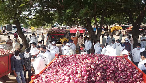 onion-market-prices-to-remain-stable-for-weeks