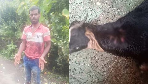 वरंध येथे एकावर दाेन बिबट्यांच्या हल्ला