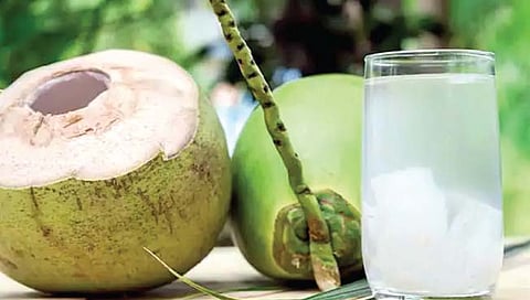 नारळपाणी लाभदायक, असतात ‘हे’ गुण