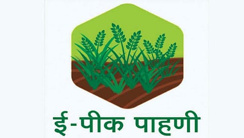 ई पीक पाहणी E crop inspection