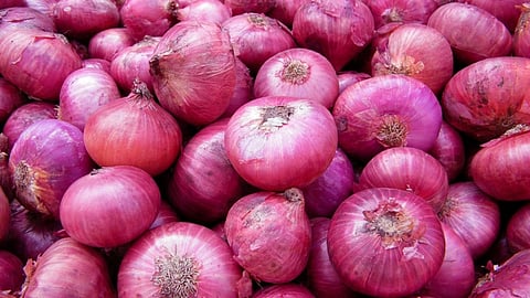 Onion News : ‘नाफेड - एनसीसीएफ’च्या कांदा खरेदी पेमेंटची प्रतीक्षाच