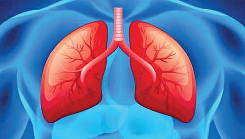 Healthy lungs : फुप्फुसे निरोगी असणे सर्वाधिक महत्त्वाचे!