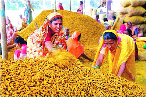 सांगलीची हळद, बेदाण्यासह कोल्हापुरी चप्पलला पसंती