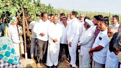 धीर सोडू नका..सरकार शेतकर्‍यांच्या पाठीशी : जयंत पाटील