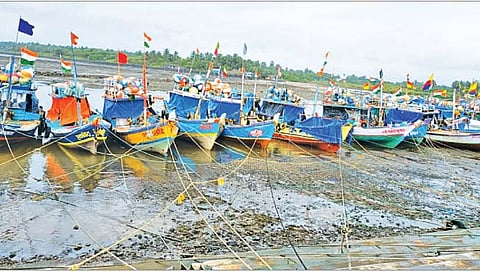 समुद्रकिनार्‍यावर जेलीफिशचे थैमान