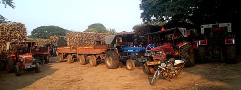 माळेगाव साखर कारखान्याच्या ऊस वाहतूक संघटनेने पुकारलेल्या संपामुळे ठप्प झालेली यंत्रणा. (छाया : प्रा. अनिल धुमाळ)