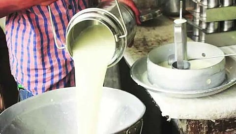 पुणे : दूधखरेदीला तेजीची उकळी; खासगी डेअर्‍यांकडून दूध दरात वाढ