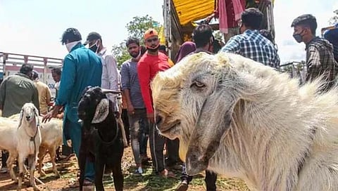भयंकर….बोकडाऐवजी बोकड पकडणाऱ्याचा गळा कापला