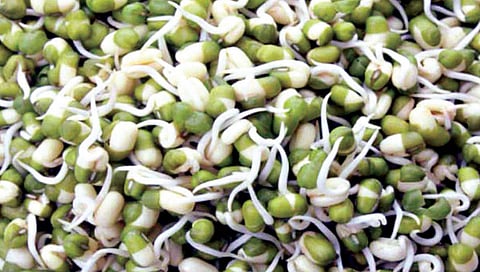 मोड आलेले मूग रोगप्रतिकारक शक्तीसाठी लाभदायक
