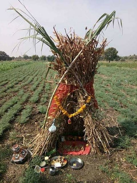 सोलापूर जिल्ह्यात  ‘वेळा अमावास्या’ साजरा