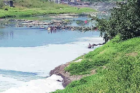 गोदा प्रदूषणमुक्तीसाठी निशिकांत पगारे यांचे विभागीय आयुक्तांना पत्र