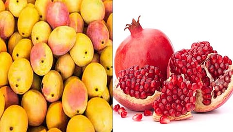 pomegranate and mango export : देशातील डाळिंब, आंब्यांची लवकरच अमेरिकेत निर्यात