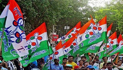गोव्यात तृणमूल काँग्रेस म्हणजे दोरा तुटलेला पतंग