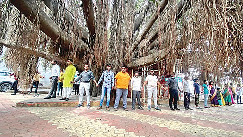 वृक्षतोड टाळण्यासाठी उड्डाणपुलाचे नवे डिझाइन ; आदित्य ठाकरे यांच्या आदेशामुळे वृक्षावरील संकट टळले