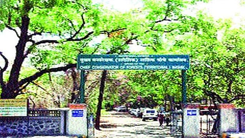 नाशिक : वनविभागाचे आता ग्राहकांच्या घरी धाडसत्र ; अनोंदणीकृत वन्यजीव सुपूर्द करण्याचे आवाहन