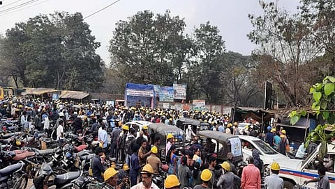 बिबट्या चंद्रपूर