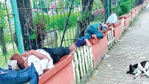 गोवा : भिकार्‍यांचे करायचे काय?; नागरिक त्रस्त