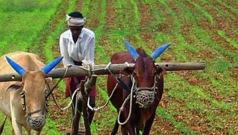 पुणे : कर्ज परतफेड करणार्‍या शेतकर्‍यांना प्रोत्साहनपर लाभ