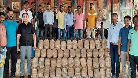 आंतरराज्यीय गांजा तस्करांच्या चंद्रपूर पोलिसांनी आवळल्या मुसक्या
