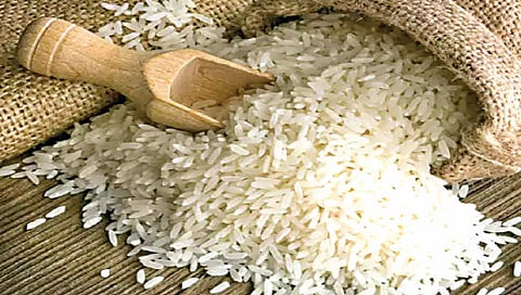 नाशिक : पोषण आहार तांदुळ घोटाळ्याच्या अंतिम अहवालात काय ? सगळ्यांच्याच नजरा