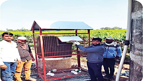 शेतातील प्लास्टिक कचर्‍याचा होणार पुनर्वापर ; नाशिकमध्ये विविध भागात संकलन केंद्रे