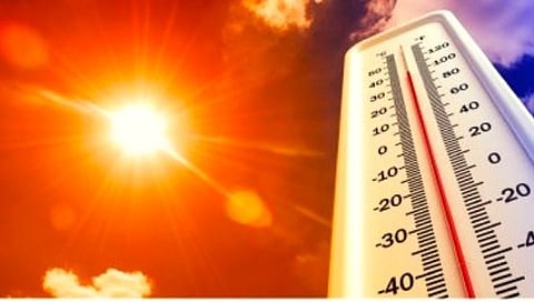Heat Wave : तापमानाचा पारा वाढला! पुढील ४८ तास काळजी घ्या, राज्यातील ‘या’ भागात उष्णतेच्या लाटेची शक्यता