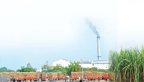 राज्यातील साखर उत्पादनात कोल्हापूर आघाडीवर, दूधगंगा-वेदगंगा १२.९७ टक्के उतार्‍यासह प्रथम स्थानी