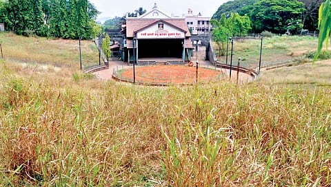 कोल्हापूर : खासबाग कुस्ती मैदानात गवत, झाडेझुडपे वाढली आहेत.