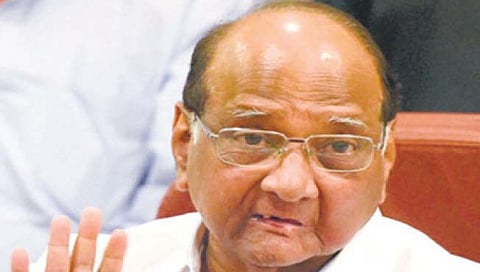 वसंतराव नाईक, यशवंतराव चव्हाण यांच्यामुळेच मी आमदार झालो : शरद पवार