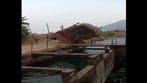 सातारा : उसानं भरलेला संपूर्ण ट्रकचं कोसळला कालव्यात (video)