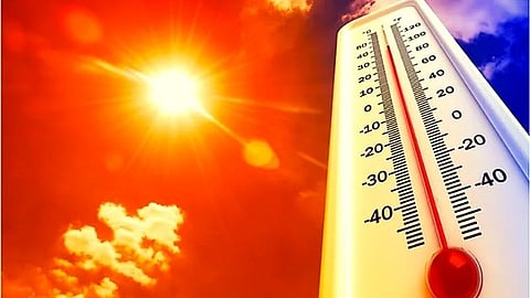 Warmest year