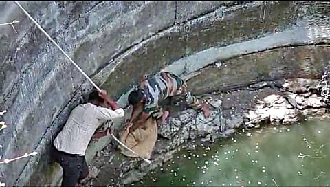 रानमांजर विहिरीत पडले अन्…,पुढे जे झाले…