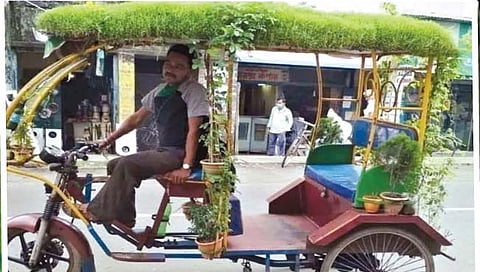 उन्हापासून बचावासाठी रिक्षावरच उगविले हिरवेगार गवत