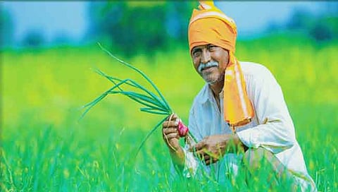 प्रोत्साहन अनुदानातून जिल्ह्यातील पात्र शेतकर्‍यांना मिळणार 550 कोटी